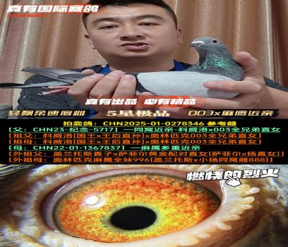 Ʈٶȴơ003xӥ