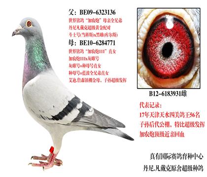 ĸ931