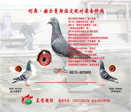 游