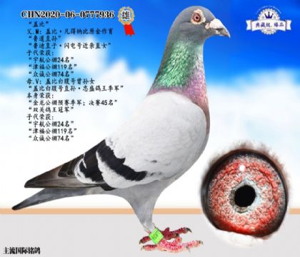 wȰ׸̖(ho)H
