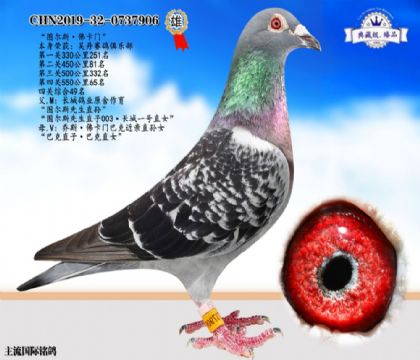 D˹ֱOT(mn)ͿˌOŮ