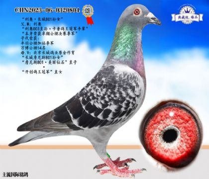 W܊L(zhng)ղ˹801OŮ