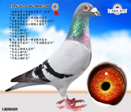 ٰS䌦(du)ֱӡֱŮ