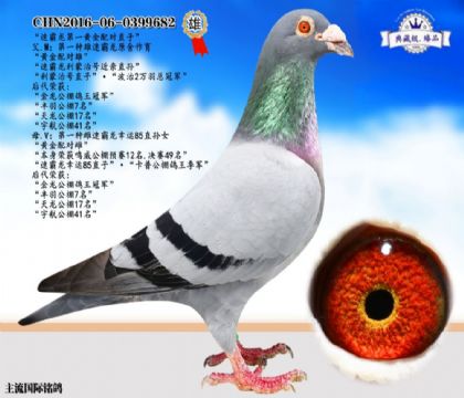 ٰS䌦(du)ֱ