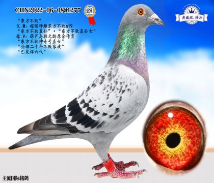|619̖(ho)ֱŮ