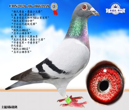 xղɭղɭС