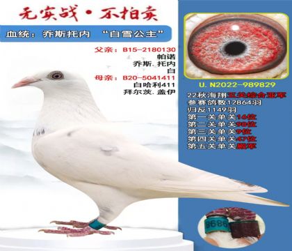 .ѩ