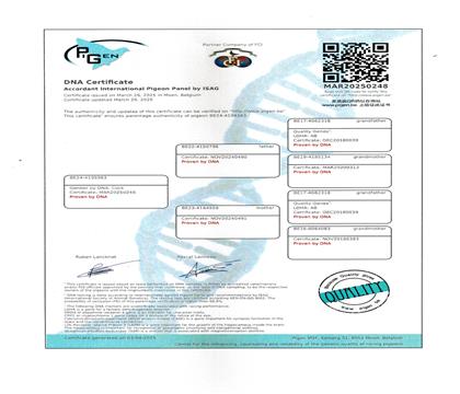 DNA