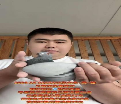 ǲؠֱOXǪȫÌOŮ