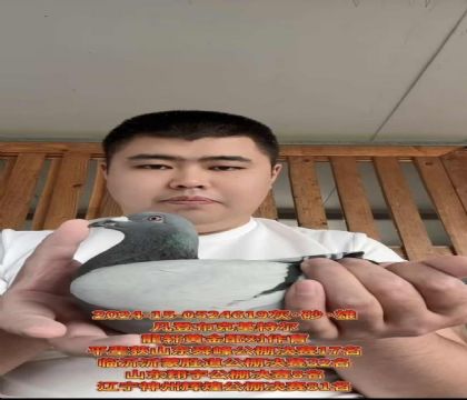 ǲʷٷֱXؠOŮ