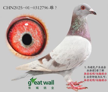 11.ά˹ȫӴ.0312796