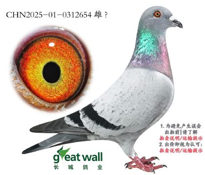 16.½ķ.0312654