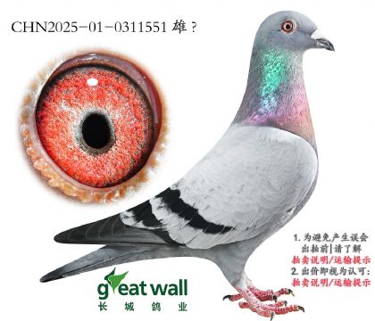 20.ƽ.0311551