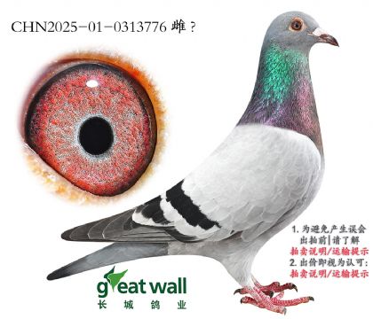 2.ҮСͼ˿.0313776