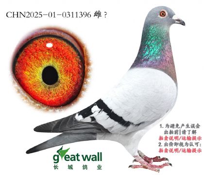 7.ŬIQ+Ӵ.0311396