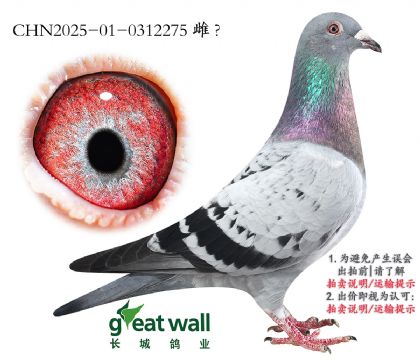 9.ھ.0312275