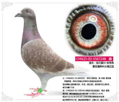 (yn)------õݴ{Ѫ   	
