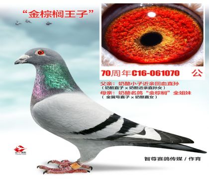 ؙ