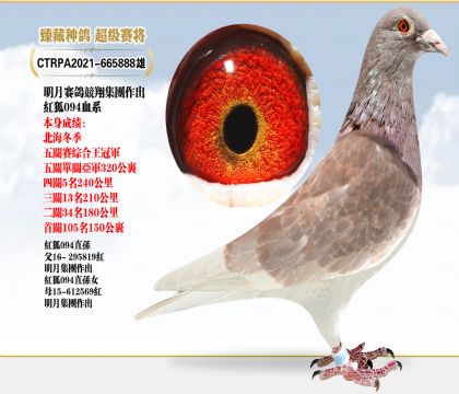 ِt094ѪϵP(gun)ِC܊