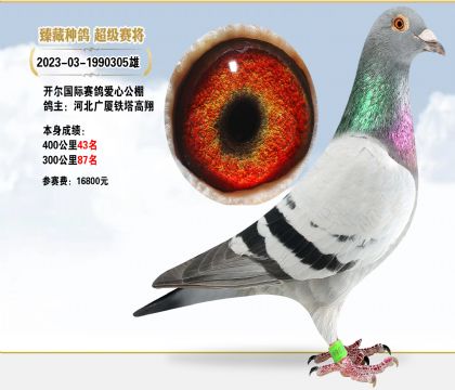 _(gu)HĹِM(fi)16800Ԫ40043