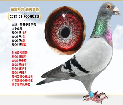 ղɭк500܊ӴM(jn)(jing)(sh)