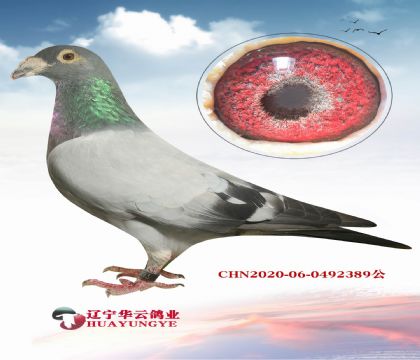12o(w)h(hun)ش(yng)ϼtֱxش(yng)740(j)NOŮ