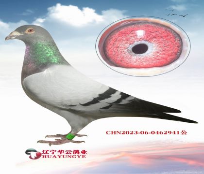 Wƥf(wn) (qing)mū