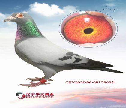 桰wꡱ鱾vºRӴN(j)