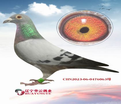 õһӴǷǳ׵ĵ  Ĳ۵Ѫϵ