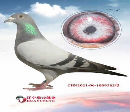 12o(w)h(hun)ش(yng)ϼtֱxش(yng)740(j)NOŮ