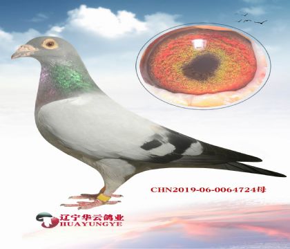 (gu)DᡱWõĿ (gu)(ni)ٵѪϵ