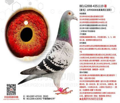游