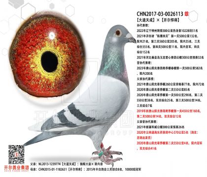 游