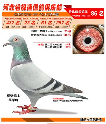50023