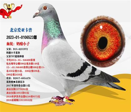 北京愛亞卡普“奶酪小子”作育