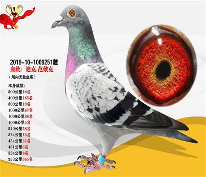 迪克.范戴克“所向無敵血系” 本身1000公里殿軍
