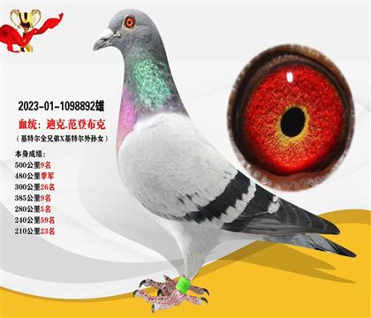 迪克.范登布克 本身榮獲480公里季軍