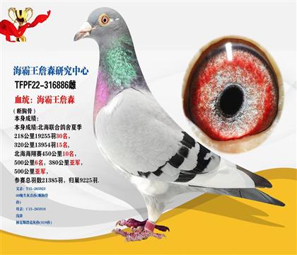 海霸王詹森研究中心 本身500公里亞軍