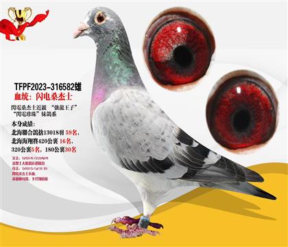 臺灣”閃電桑杰士“ 本身320公里5名