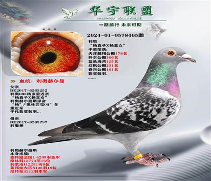 W ֱOXֱOŮ 003 (qing)Ѫ