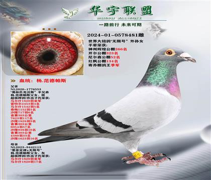 tѪϵ  o̖(ho)OŮ (j)ķ