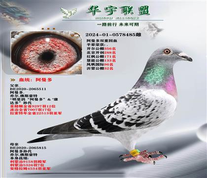  Ѫ