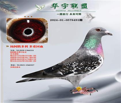 v ̖(ho) ػѪ Կ̈́ ؚw