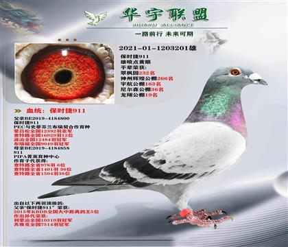  r(sh)911ֱXr(sh)911ֱŮ