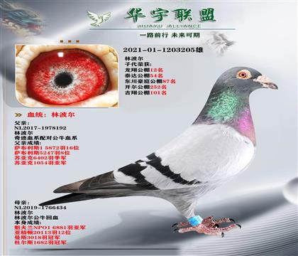 ٶ֮ ֲ ţXE̖(ho) ػѪ