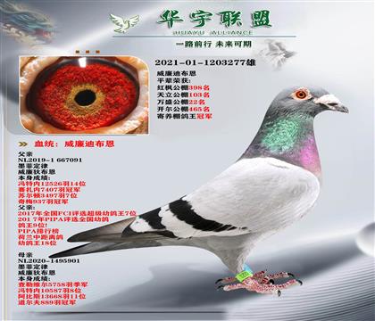 ϲ īƶֱXīƶֱŮ