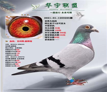 ˹ղ ׌ֱXֱŮ (qing)Ѫ