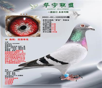 tѪϵ  _ʡOŮ