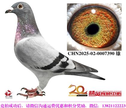 r(sh)911HֱO