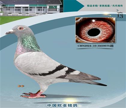 Wƥ03ֱOXWԪֱŮXֱO